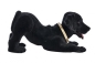 Preview: Wackelhund Labrador groß bobblehead