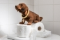 Preview: Wackeldackel braun 29 cm mit 2 Rollen Toilettenpapier - Gemeinsam gegen Corona