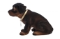 Preview: Wackelhund Rottweiler groß bobblehead